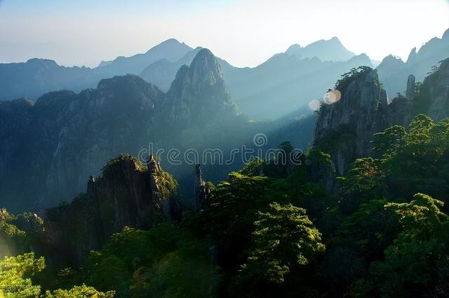 力鼎茶可以修復(fù)海綿體嗎（力鼎茶可以修復(fù)海綿體嗎_對身體有沒有危害_）