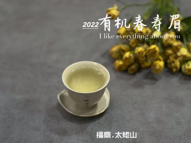 白茶女裝品牌怎么樣（白茶屬于高檔茶嗎）