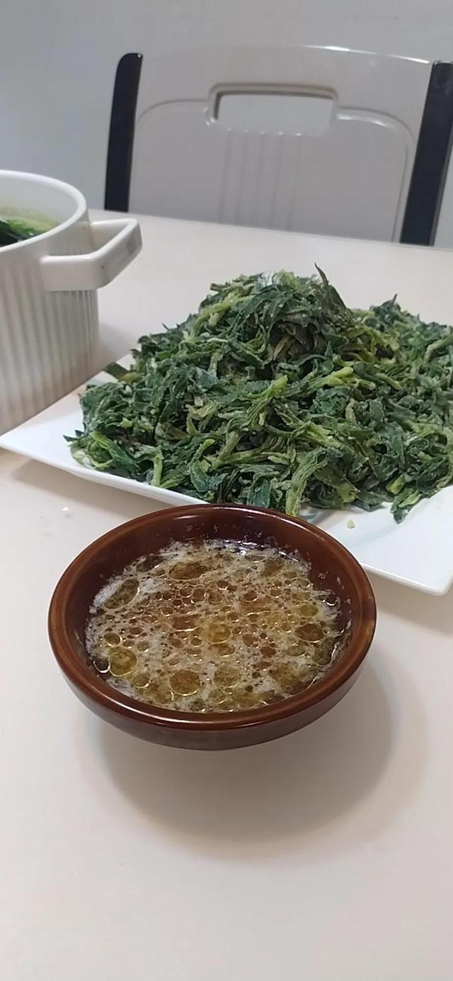 面條菜學(xué)名叫什么，面條菜的功效與作用及禁忌？