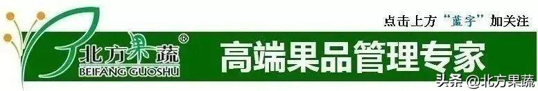 果樹苗批發(fā)基地三年苗各種苗大全價(jià)格，哪里有果樹苗批發(fā)基地？