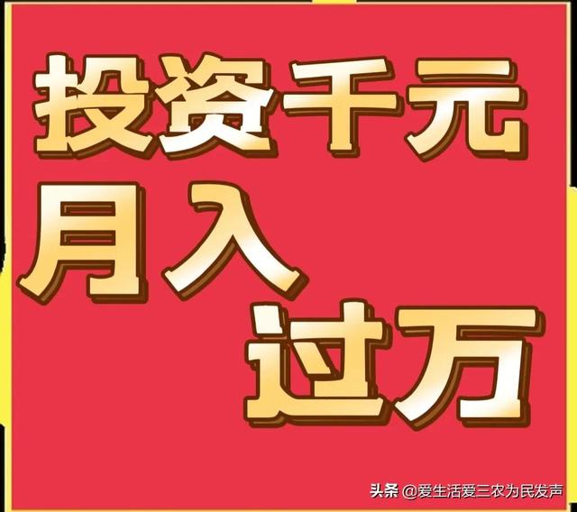 跑江湖地?cái)傂庐a(chǎn)品，跑江湖地?cái)傂庐a(chǎn)品怎么做