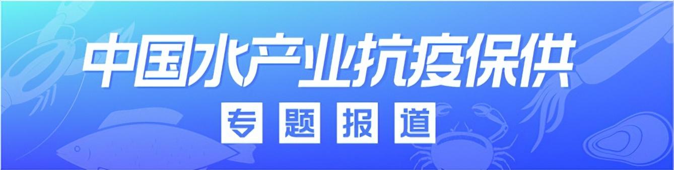 本地魚苗批發(fā)在哪里進(jìn)貨好，本地魚苗批發(fā)在哪里進(jìn)貨便宜？