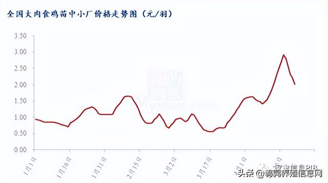 哪里有土雞苗批發(fā)，本地土雞苗批發(fā)市場(chǎng)？