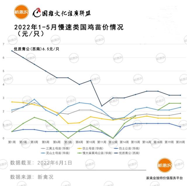 土雞苗批發(fā)市場(chǎng)在哪里，土雞苗批發(fā)市場(chǎng)在哪里的？