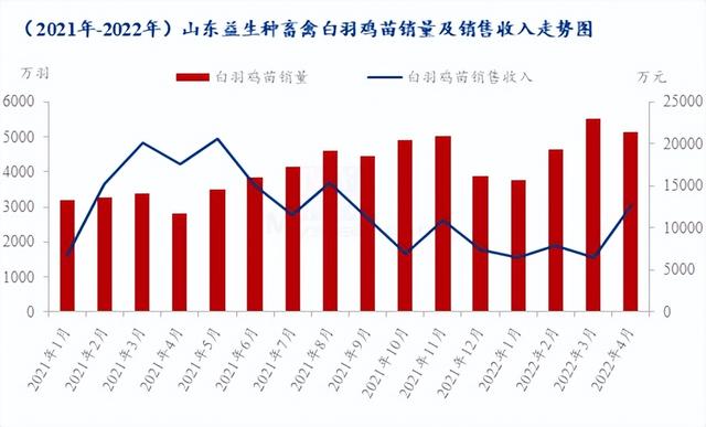 種禽龍頭4月銷售收入大幅上漲，白羽雞苗5月市場行情急轉(zhuǎn)直下