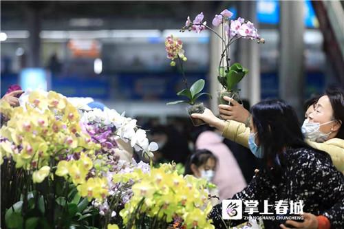 昆明鮮花批發(fā)市場地址個區(qū)，昆明鮮花批發(fā)市場地址在哪里怎么坐車去？