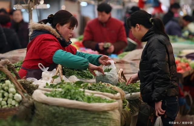 菜市場賣菜一天能賺多少錢，賣什么青菜掙錢？