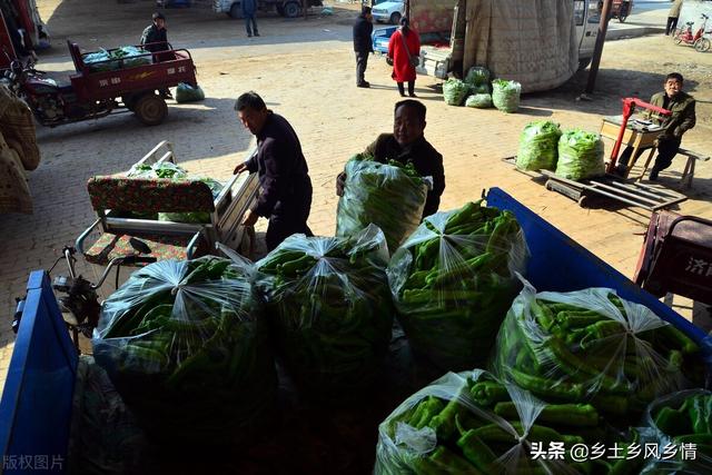 市場賣青菜一天賺多少錢合適，菜市場賣青菜一年能賺多少錢？