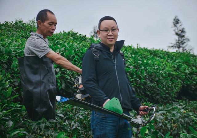 淘寶賣茶葉貨源哪里找，淘寶賣茶葉貨源哪里找的？