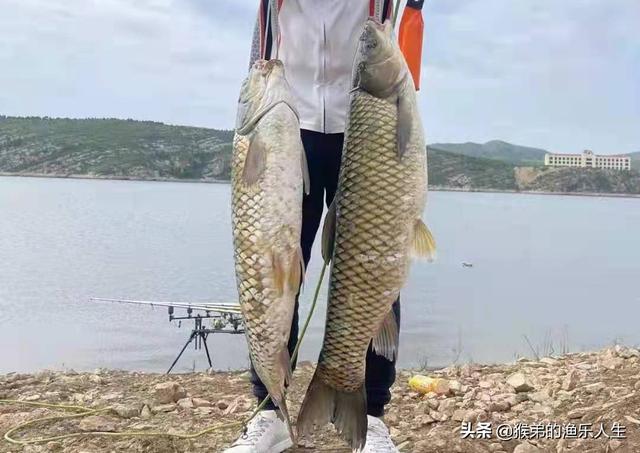 德州釣組釣法，德州釣組控餌手法？