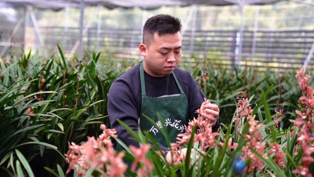 淘寶拼多多熱銷朝蘭貨源拿貨是真的嗎，淘寶拼多多熱銷朝蘭貨源拿貨是真的嗎安全嗎？